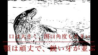 異種格闘技戦50·前編①(漆黒の海🌊の生物決定戦④)【Real Rock n Rolla(リアル・ロックンローラ)】ヒョウアザラシ（豹海豹)🦭🆚【🌊海の鰐🐊】メトリオリンクス🐊戦