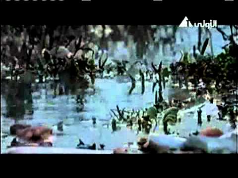 الشاعر عبدالله عبدالصبور برنامج كلمات