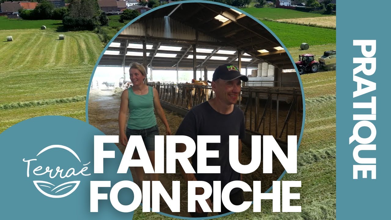 Séchage de foin en bottes