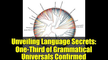 Unveiling Language Secrets: One-Third of Grammatical Universals Confirmed