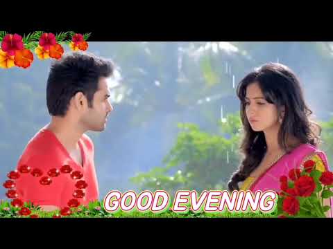 good evening status
