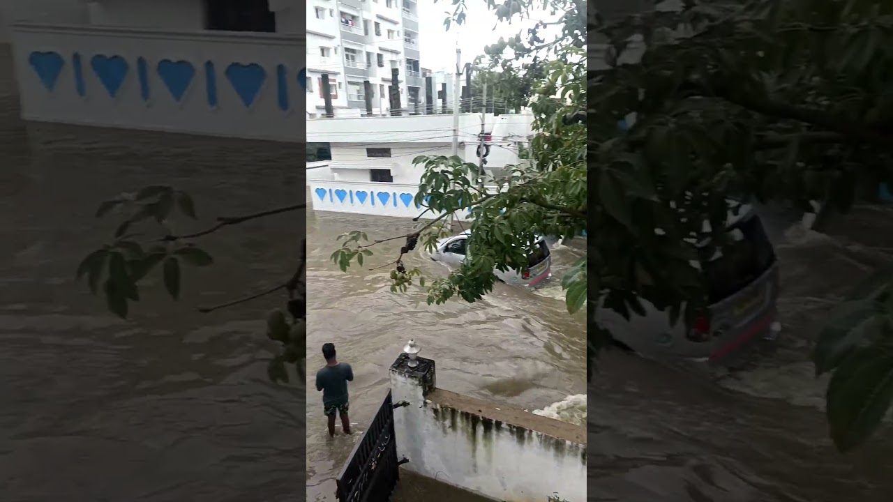 warangal Hanamkonda rain effect 