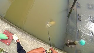【衝撃映像】１３ヵ月かけて作ったルアー、足元で驚きの巨大魚に襲われる！！！