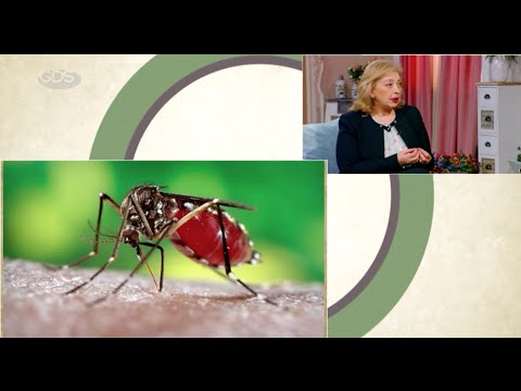როგორ ემზადება საქართველო ზიკა ვირუსის შესახვედრად?