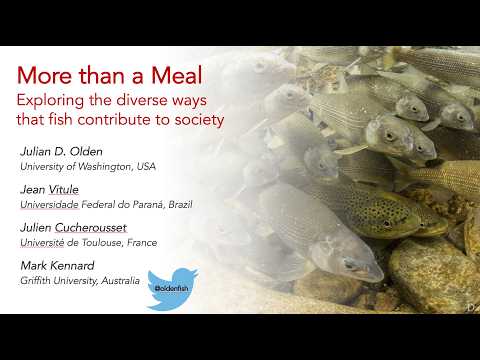 Fish more than a meal: Exploring the diverse ways that fish contribute to society