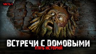 Домовые (5в1) Выпуск №4