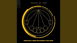 Sound of You - Pendulum, Armin van Buuren & Rob Swire