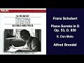 Miniature de la vidéo de la chanson Piano Sonata No. 17 In D Major, Op. 53, D. 850: Ii. Con Moto