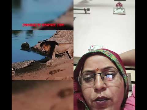 शेर और मगरमच्छ की दोस्ती# #viral