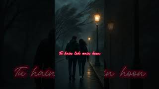 Download Lagu Tu Hain To Main Hoon. Sky Force. Just Melody #shortsviral MP3