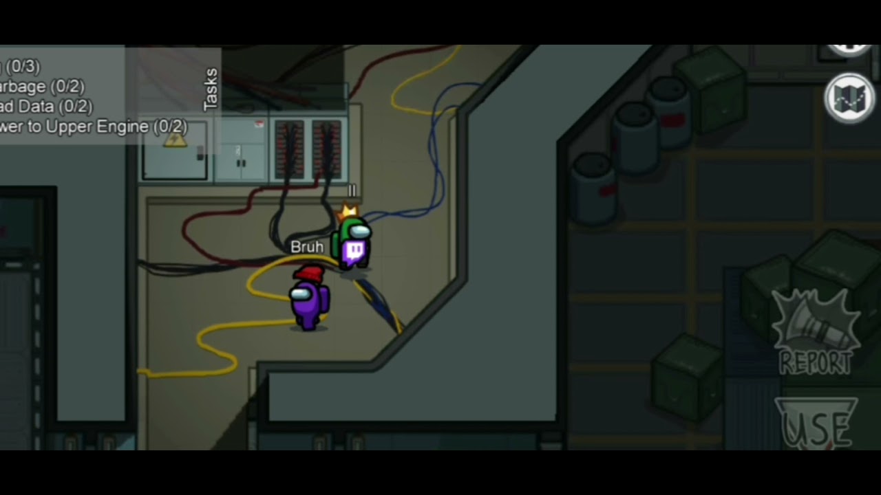 Among Us l Twitch Glitch Pet's Reaction On The Player's Death l Pet's Reaction