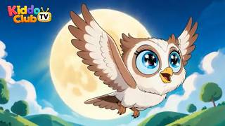 Hoot, Hoot Owl