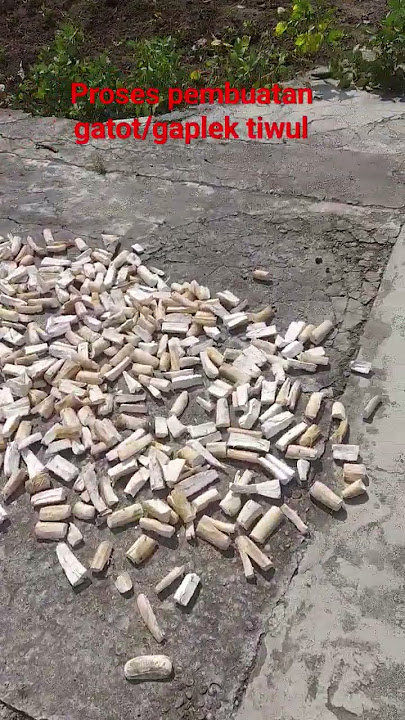 the process of making gaplek gatot tiwul