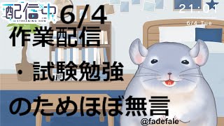【作業雑談】6/4：勉強とか勉強しながら雑談する！！/Fade【新人Vtuber】