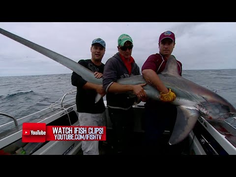 IFISHTV