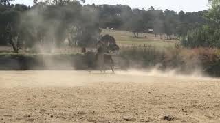 Received 796695024009782