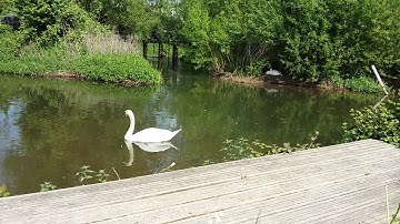 Mindfulness - Firepool Lock