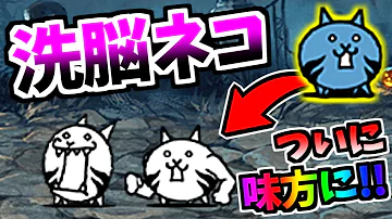 洗脳されしねこ 洗脳されしねこ