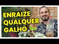 Técnica para enraizar qualquer galho sem gastar 1 real