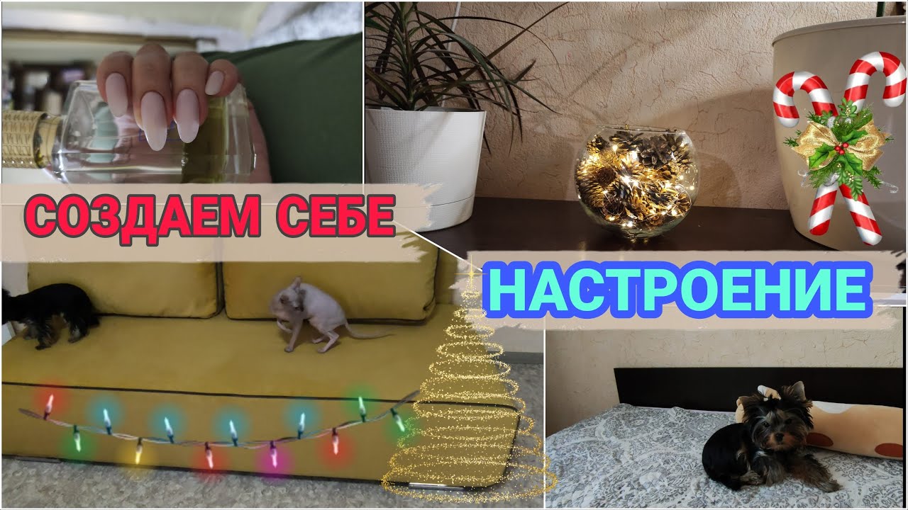 Влог: Создаем настроение/ Диван с озона/ Новогодний светильник своими ...