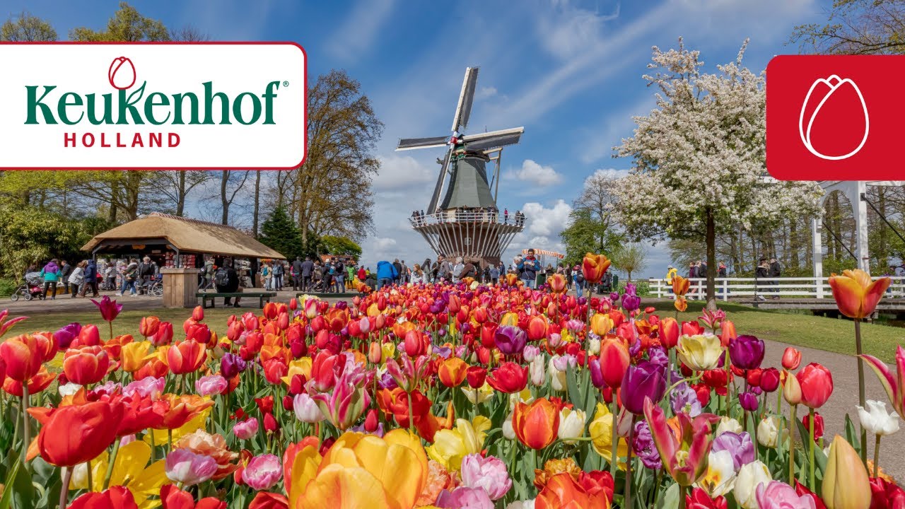 Keukenhof 2025 is open!🌷