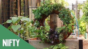 Living Herb Wreath