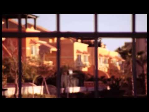 عندما يتحول الاستهلاك إلى حلم - تحت المجهر