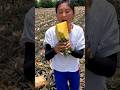 Pineapple juice fresh eating with rural farming life #life #farming #shorts #2026