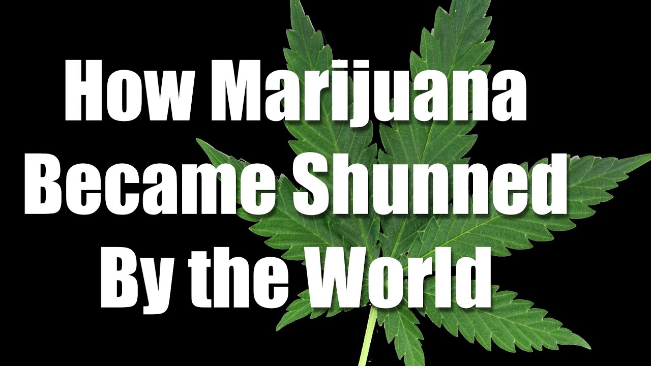 hangouts on air alternative How Marijuana Became Illegal Worldwide