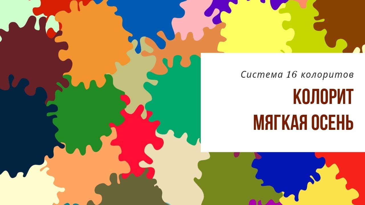 Комбинатор цвета для колорита Мягкая Осень. Система 16 колоритов. Академия Свое Лицо.