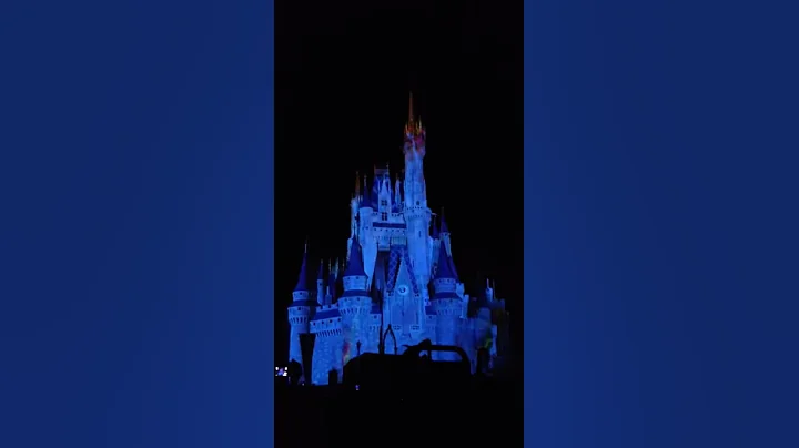 Disney World Castle