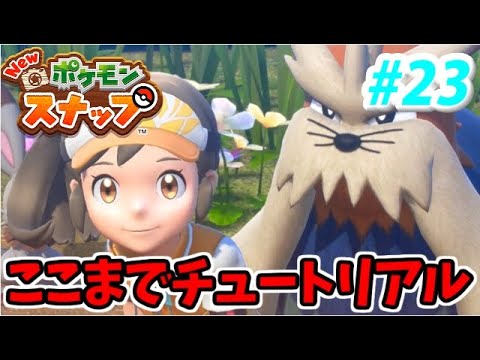 神ゲー Newポケモンスナップでたわむれる 23 最強最後のイルミナポケモン Youtube 神ゲー Newポケモンスナップでたわむれる 23 最強最後のイルミナポケモン Youtube