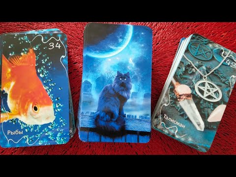 Обзор и значение Оракула Затмение от Амиры