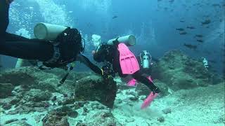 Divers almost fly away - Galapagos trip April 2026
