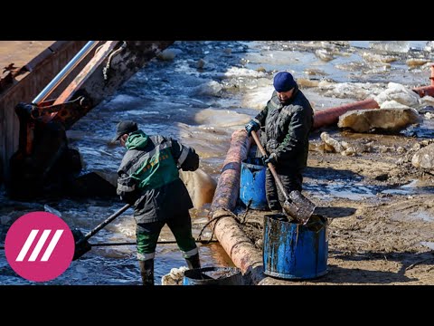 Экологическая катастрофа в Коми: тонны нефтепродуктов попали в реку Колва