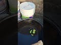 mini powerful monster cap wali car water jump 🌊 🙀🙀