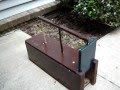 Box Trap to catch Squirrels, Rabbits, small animals