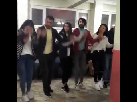 Kurd halay