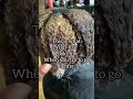 Bleaching Hair From Black Box Dye