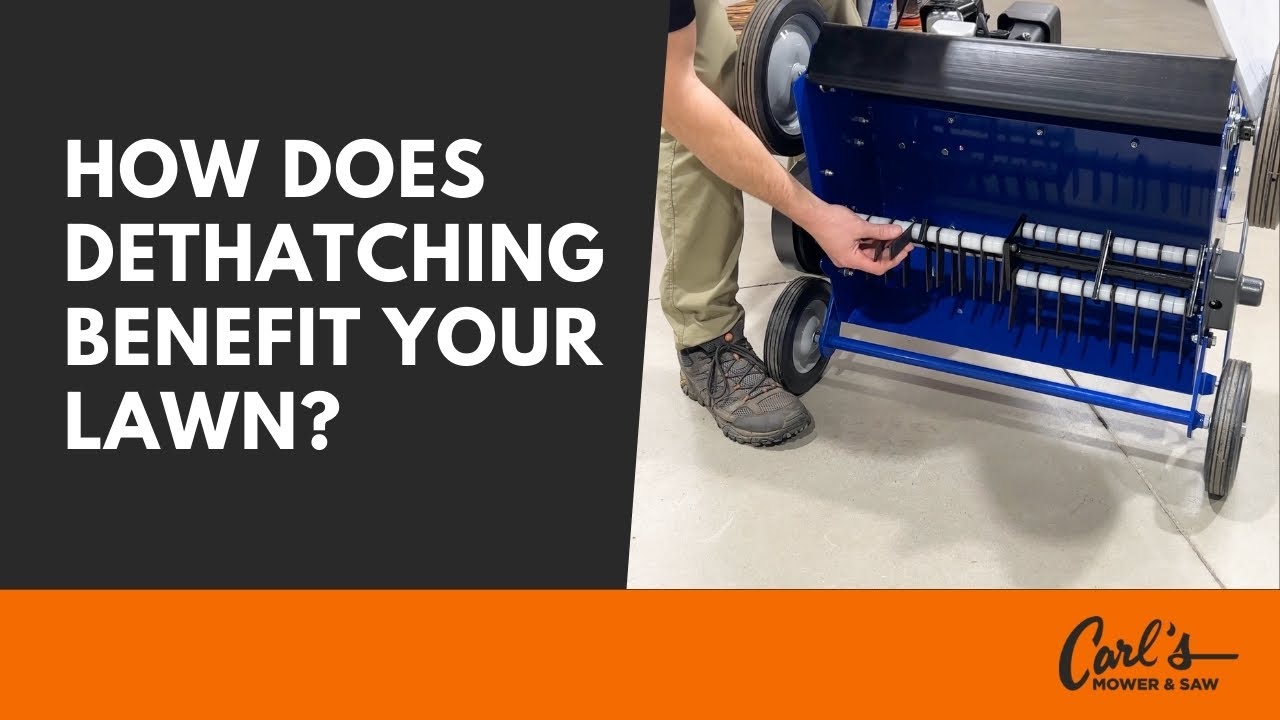 Diy Lawn Dethatching Tips: Expert Tricks for a Healthier Yard