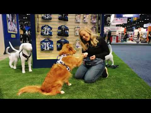 Experience the 2024 Global Pet Expo with our partners at DOGTV! Nearly 20,000 pet professionals convened in Orlando, Florida, for the biggest event in the pet industry. The show features thousands of innovative and trusted pet products from over 1,100 pet brands across 3,000+ booths at the Orange County Convention Center.