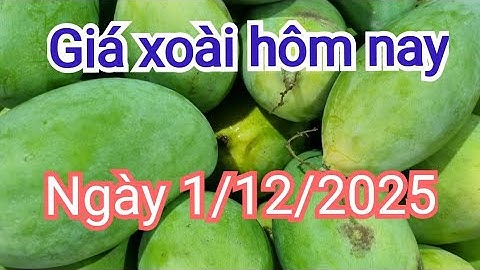 giá xoài hôm nay ngày 1/12/2025