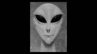 The Screamer Archives - Episode 1