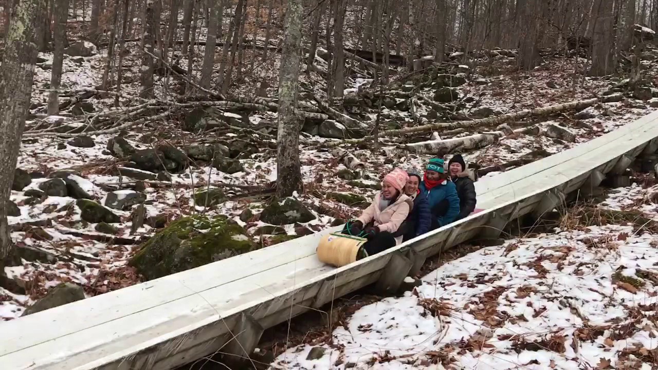 Riding the Snow Bowl toboggan chute YouTube