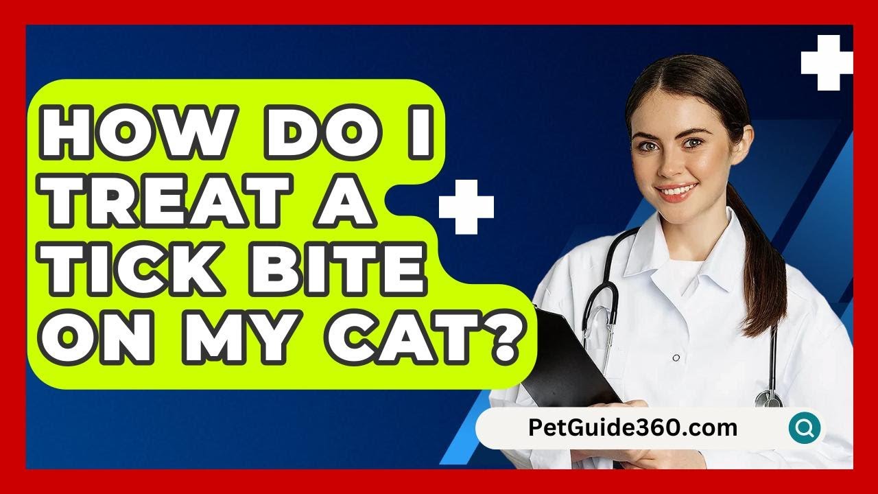 How Do I Treat A Tick Bite On My Cat? - PetGuide360.com