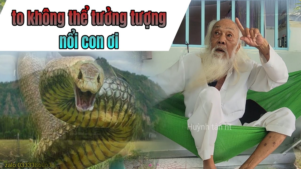 Thầy Rắn Ông Tư Đền Kể Chuyện Mãng Xà Khổng Lồ Canh Cửa Vào Ruột Núi Cấm Nghe Ớn Lạnh