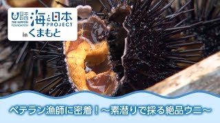 素潜り漁師が採る絶品ウニ～天草ムラサキウニ～ 日本財団 海と日本PROJECT in くまもと 2018 #01