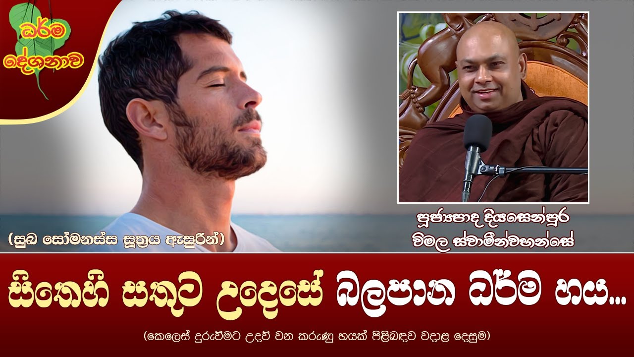 Ven Diyasenpura Wimala Thero | 2024-05-25 | 04:00 PM (සිත සතුට උදෙසා බලපාන ධර්ම හය...)