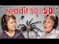 ELDERS REACT TO REDDIT 50/50 CHALLENGE (Spider Nightmare and Eye Surgery!)