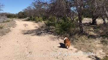 FeiyuTech SPG PLUS 3-Axis Gimbal in Action